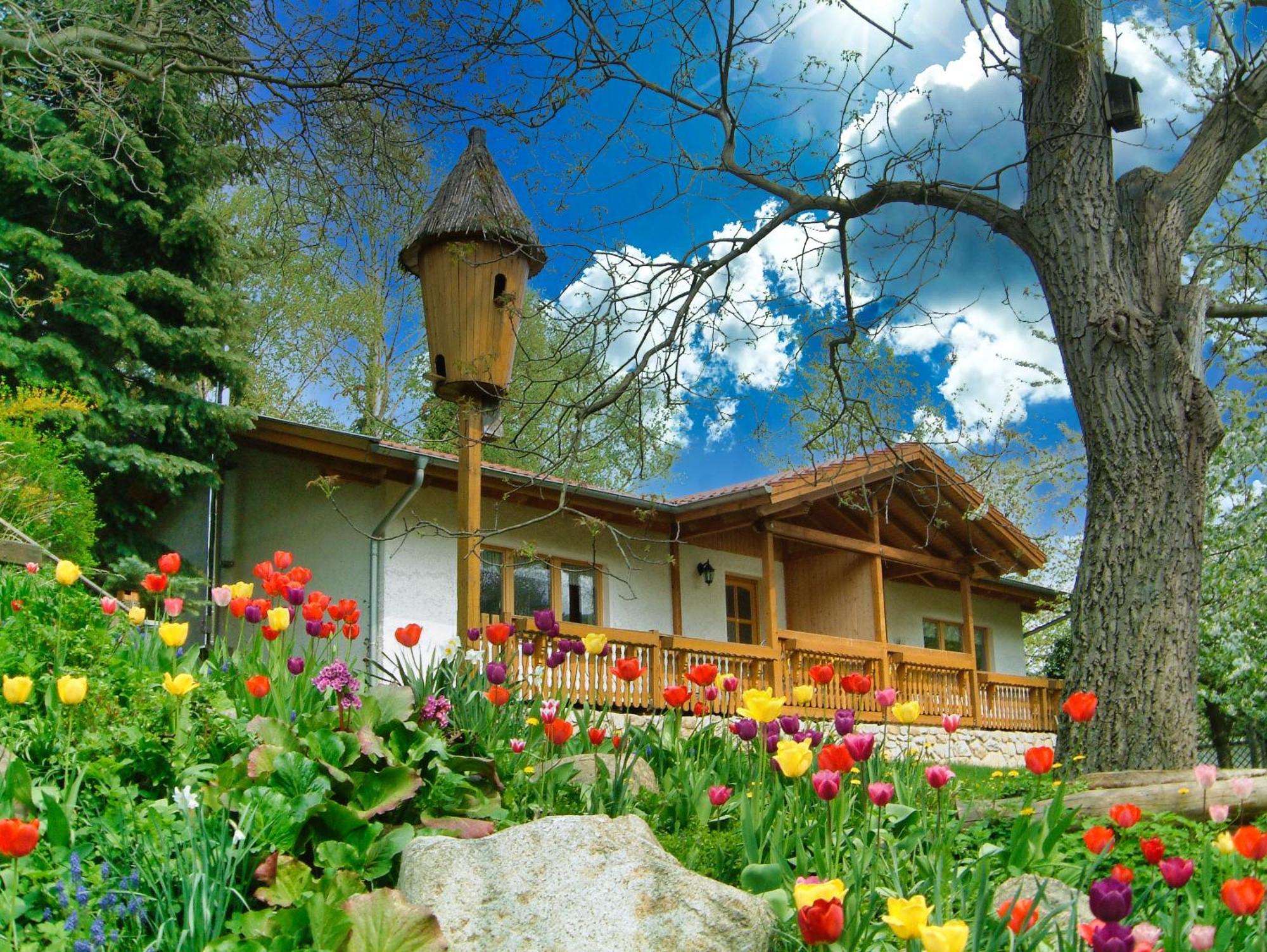 Harzer Feriengarten Quedlinbourg Extérieur photo